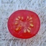 Tomatensorte Rose Quartz Multiflora