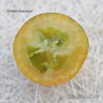 Tomatensorte Green Sausage