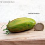 Tomatensorte Green Sausage