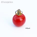 Tomatensorte Filippok