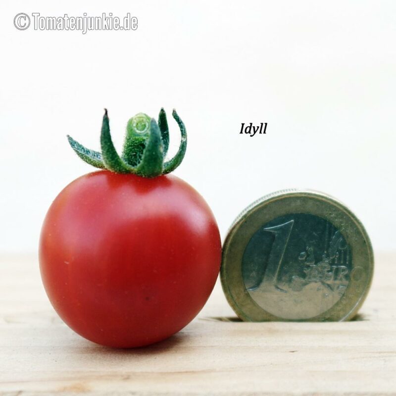 Tomatensorte Idyll