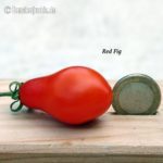 Tomatensorte Red Fig