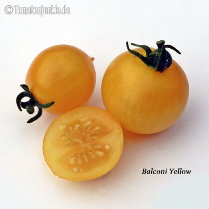 Tomatensorte Balconi Yellow