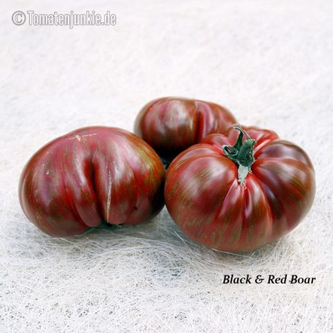 Tomatensorte Black & Red Boar