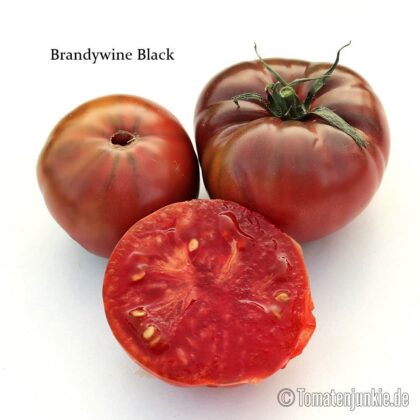 Tomatensorte Brandywine Black