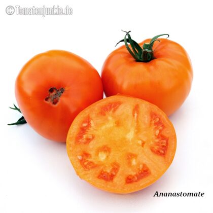 Tomatensorte Ananastomate