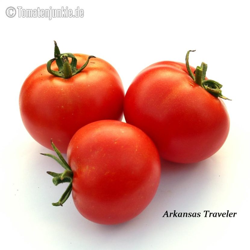 Tomatensorte Arkansas Traveler