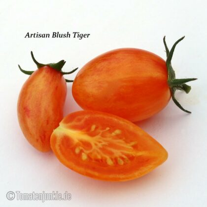 Tomatensorte Artisan Blush Tiger