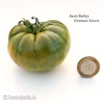 Tomatensorte Aunt Rubys German Green