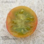Tomatensorte Aunt Rubys German Green Cherry