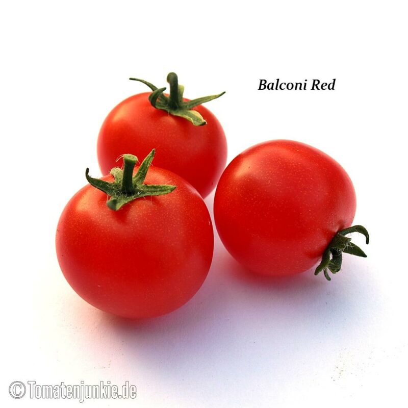 Tomatensorte Balconi Red