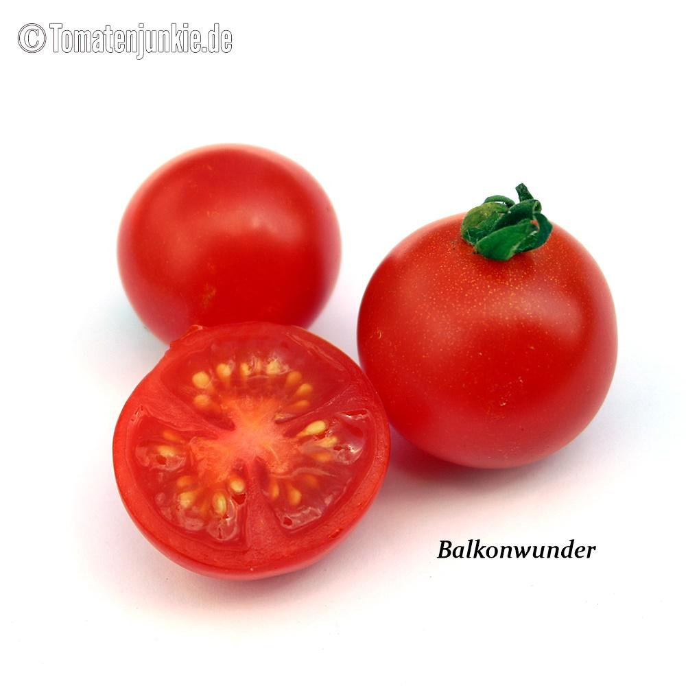 Tomatensorte Balkonwunder