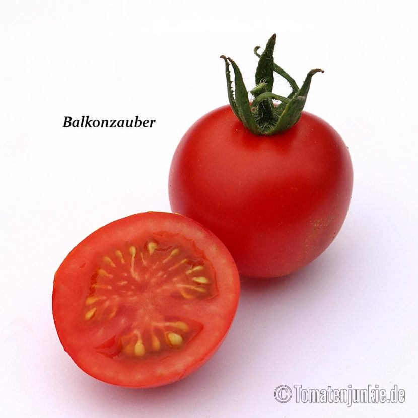 Tomatensorte Balkonzauber
