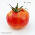 Tomatensorte Beauty King