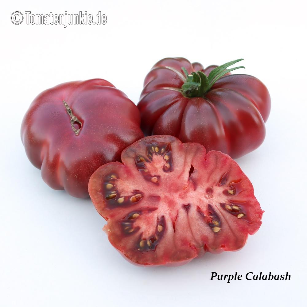 Tomatensorte Purple Calabash