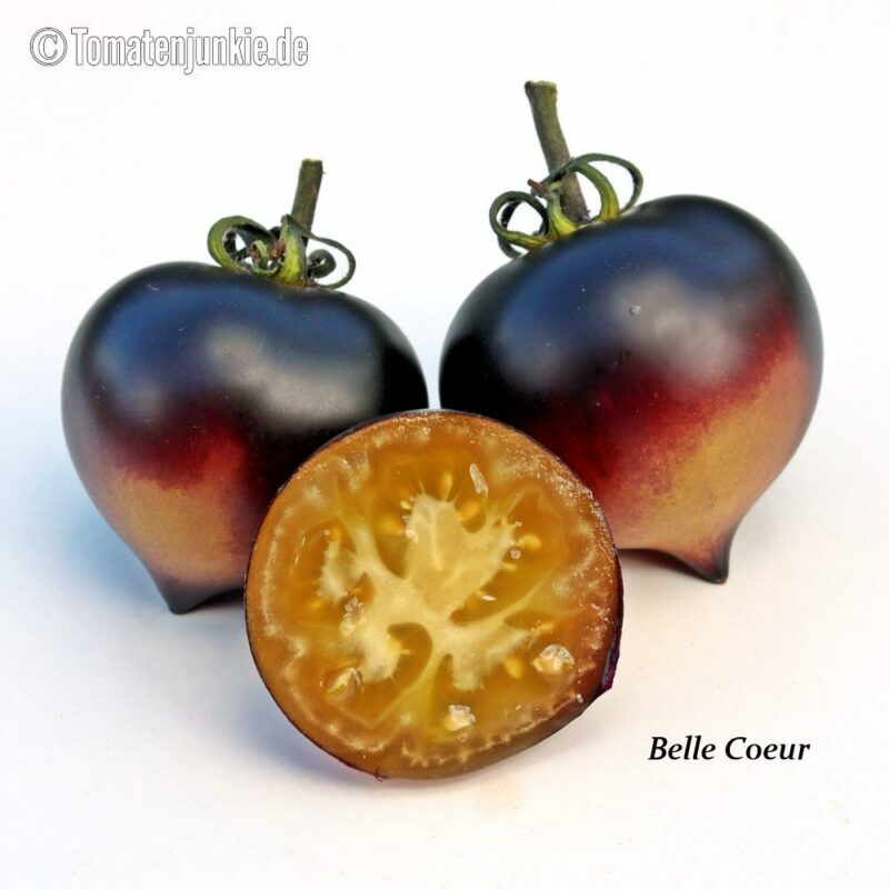 Tomatensorte Belle Coeur