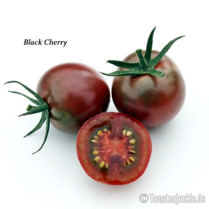 Tomatensorte Black Cherry