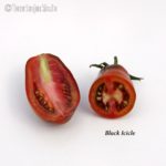Tomatensorte Black Icicle