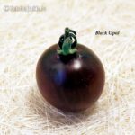 Tomatensorte Black Opal
