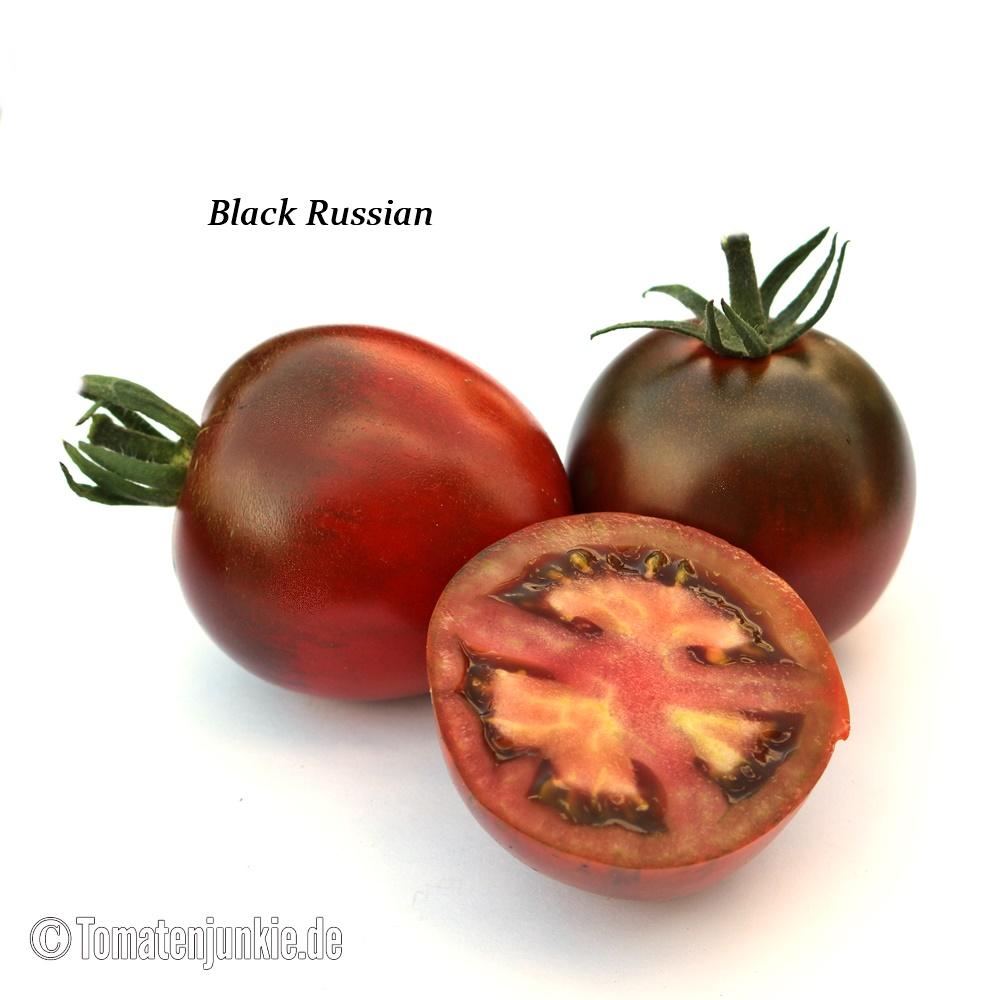 Tomatensorte Black Russian