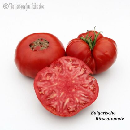 Tomatensorte Bulgarische Riesentomate