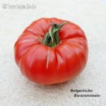 Tomatensorte Bulgarische Riesentomate