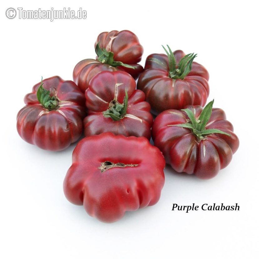 Tomatensorte Purple Calabash