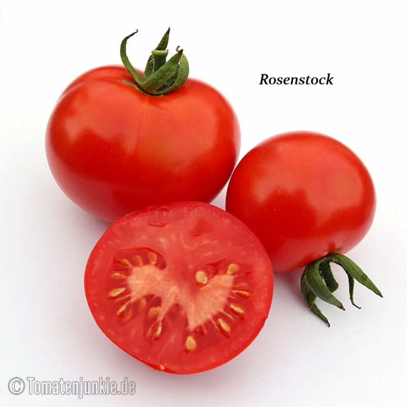 Tomatensorte Rosenstock