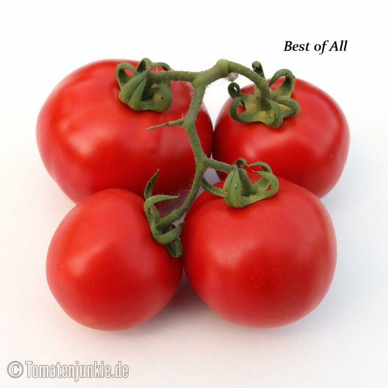 Tomatensorte Best of All