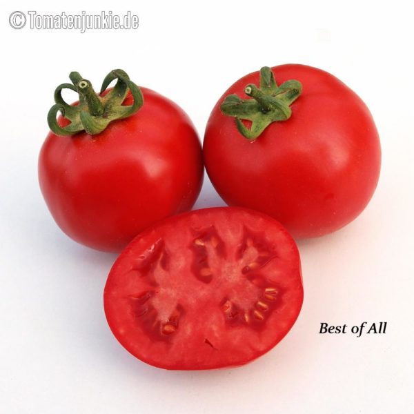 Tomatensorte Best of All
