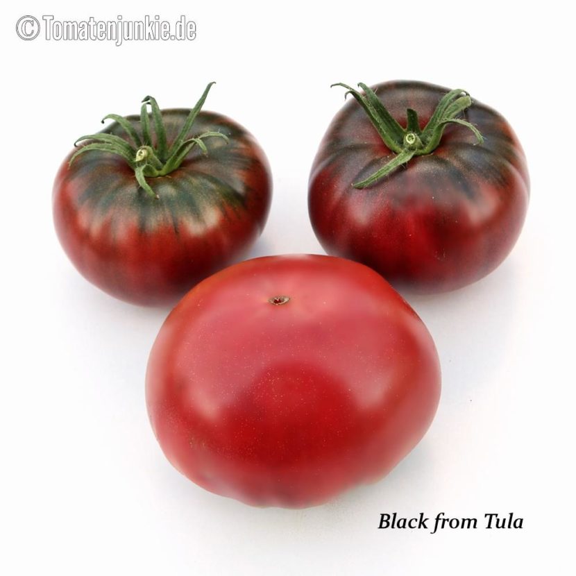 Tomatensorte Black from Tula