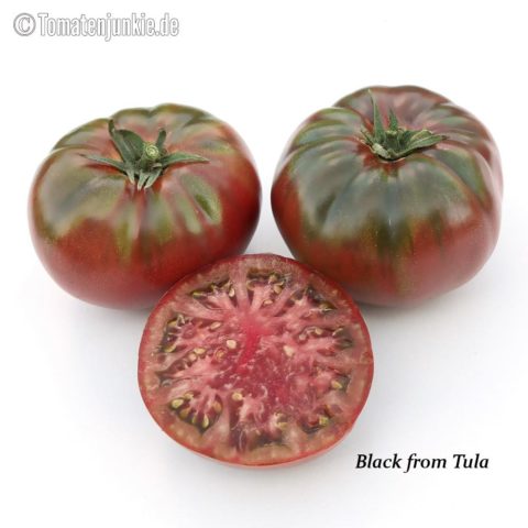 Tomatensorte Black from Tula