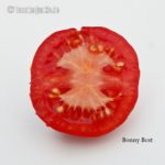 Tomatensorte Bonny Best
