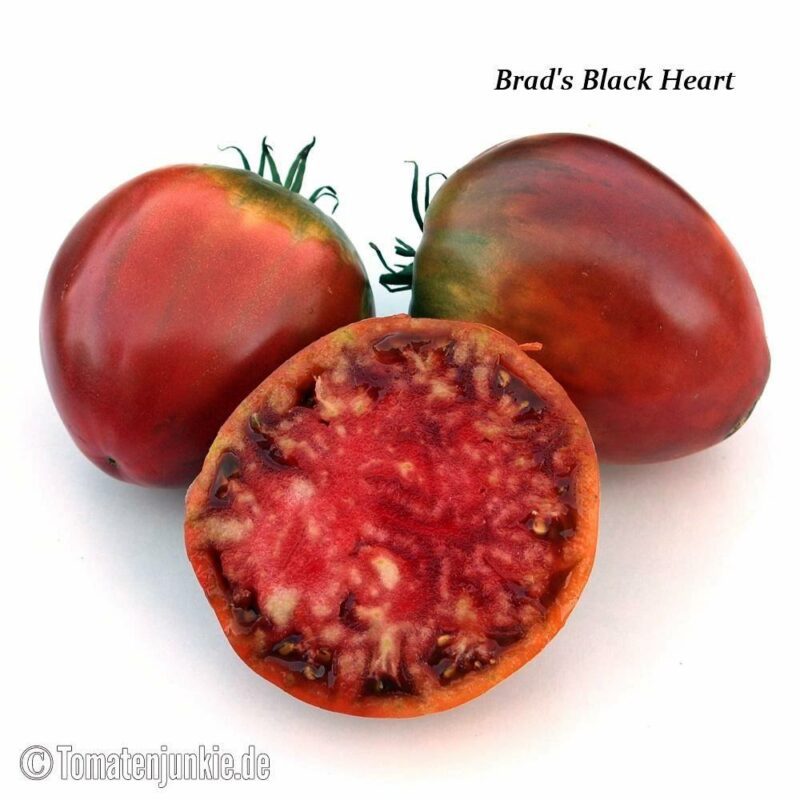 Tomatensorte Brad's Black Heart