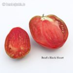 Tomatensorte Brad's Black Heart