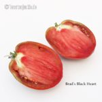 Tomatensorte Brad's Black Heart