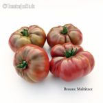 Tomatensorte Braune Maltitzer