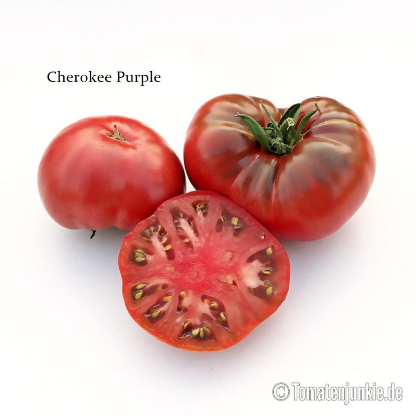 Tomatensorte Cherokee Purple