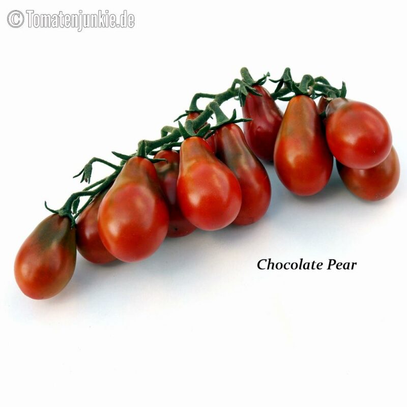Tomatensorte Chocolate Pear
