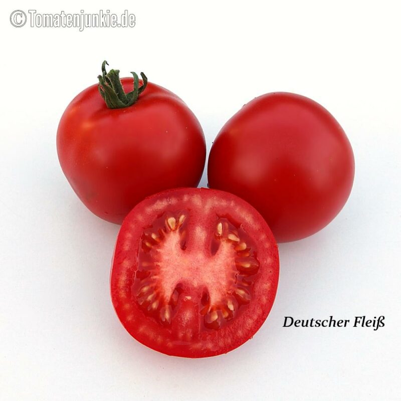 Tomatensorte Deutscher Fleiß