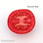 Tomatensorte Deutscher Fleiß