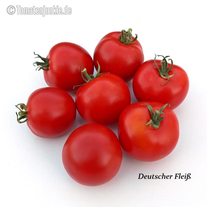Tomatensorte Deutscher Fleiß