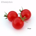 Tomatensorte Drops