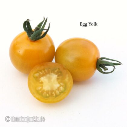 Tomatensorte Egg Yolk