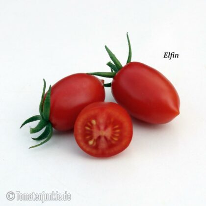 Tomatensorte Elfin