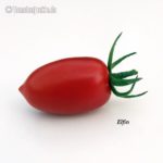 Tomatensorte Elfin