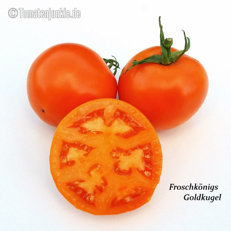 Tomatensorte Froschkönigs Goldkugel