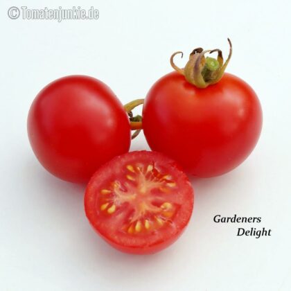 Tomatensorte Gardeners Delight