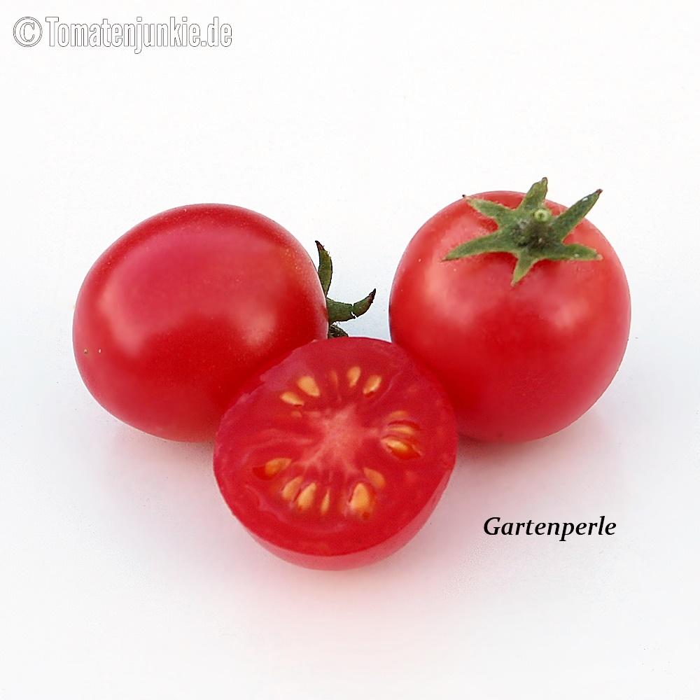 Tomatensorte Gartenperle