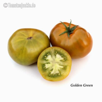 Tomatensorte Golden Green